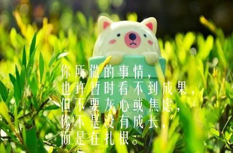 优美哲理句子摘抄简短（蕴含哲理的唯美书摘）