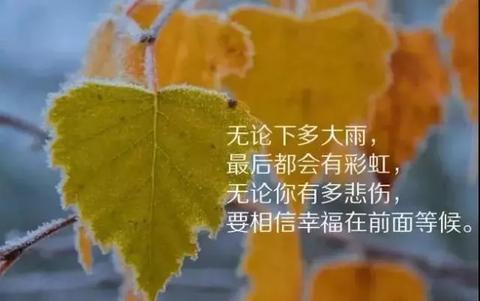 内涵意境优美伤感的句子（伤感语录大全）