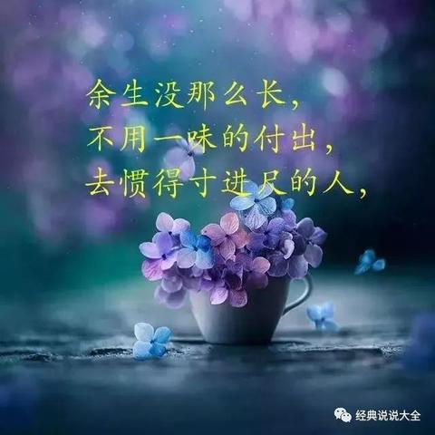 一个人的伤感短句（人生伤感句子句句心痛长句）