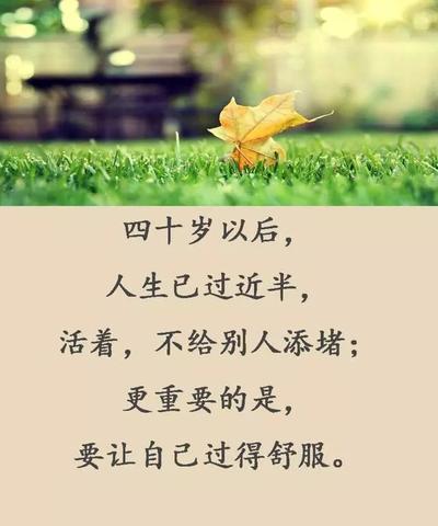 人生哲理的句子短语（人生哲理的经典语录佳句）