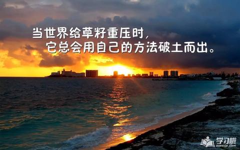 元气满满俏皮的文案（励志简短名言）