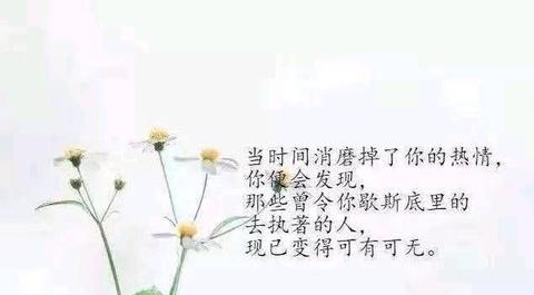 文艺有意境简短句子（惊艳的赠言）