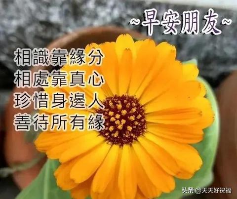 阳光很暖心情很好的句子（阳光暖一点文案警句）