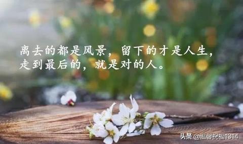 人生哲理不显富的句子（好句大全人生哲理语句）