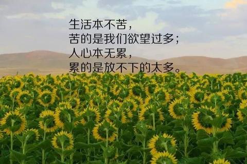 哲理文案（温柔有哲理的说说）