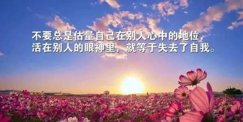 哲理文案（温柔有哲理的说说）