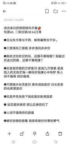 温柔浪漫的高级的句子（特别温柔的文案短句金句）