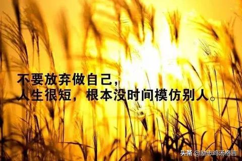 对生活理解很透彻的句子（哲理人生感悟金句）