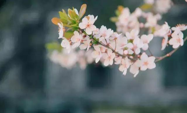 治愈人心的一句话经典语录（文案短句干净治愈生活话语）