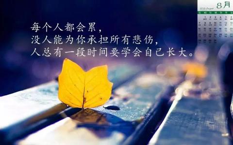 生活感悟的句子正能量（热爱生活的温柔诗句）