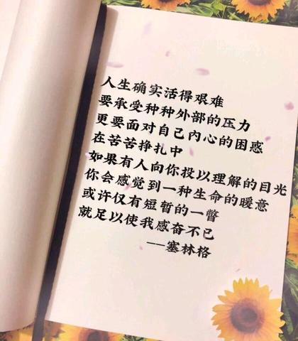 形容心动瞬间唯美的句子（心动和心定的文案短句书摘）