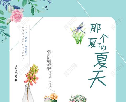 夏天的清爽文案（夏天的清爽大全）