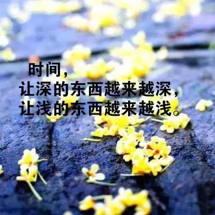 简短又暗含深意的句子（简短又暗含深意的古风摘抄）