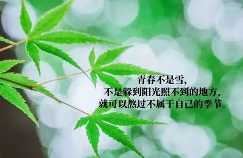 净化心灵的文案（散心净化心灵的句子金句）