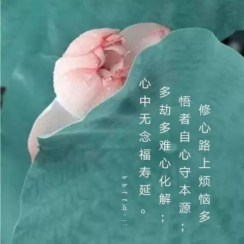 情感霸气的文案句子短句（情感短语录金句）