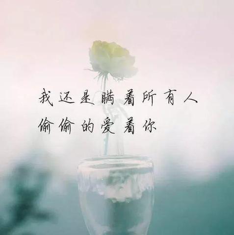 留恋爱情的经典句子（简单干净的爱情短句）