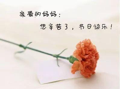 气质文案短句干净治愈（唯美高级有气质祝福语）