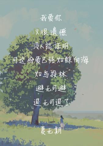 高级文案温柔治愈（浪漫而不烂俗的高级寄语）