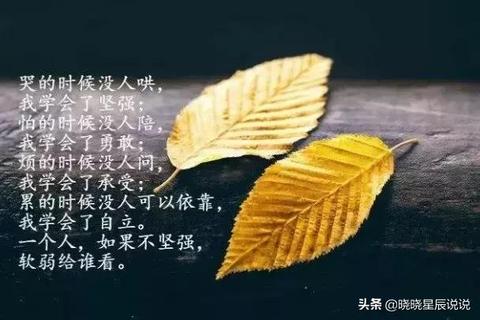 独一无二的心情失落文案短句（表示一个人很失落的书摘）