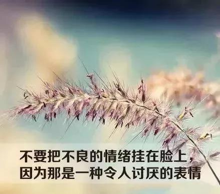 情绪低落抑郁的文案短句（情绪低落心情很烦躁的语句）