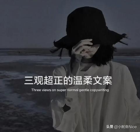 超浪漫温柔的文案（温柔唯美的无关爱情精辟）