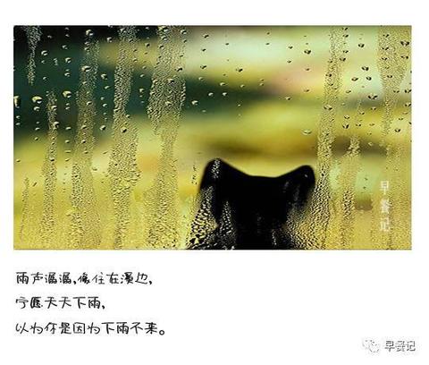 情感语录扎心伤感文案（emo抑郁高级短句话语）