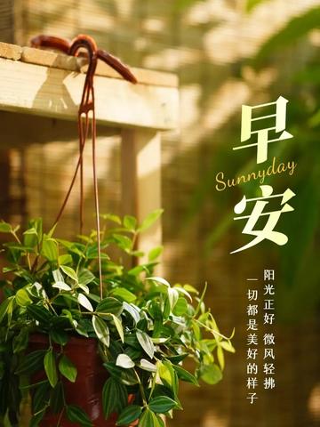 早安有创意的文案（关于早安的朋友圈短文）