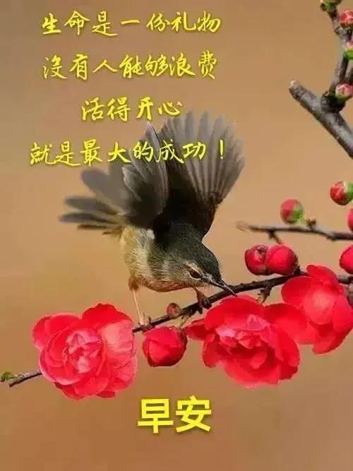 早安句子发朋友圈（经典短句早安祝福语）