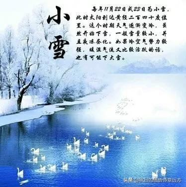 小雪的节气的文案短句（小雪节气简短温馨句子短语）