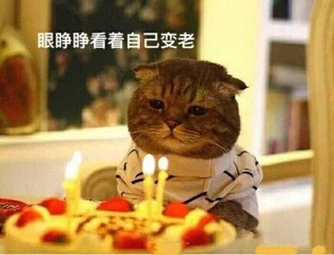 笑到窒息的沙雕生日文案（老公生日蛋糕4—6字祝福语书摘）