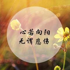 治愈系暖心文章200字（好文案句子治愈系列赠言）