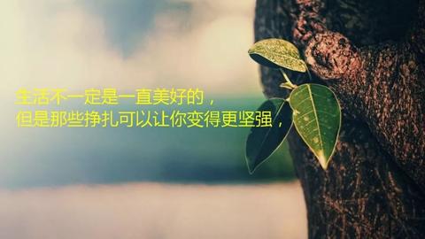 句句深入人心现实文案（现实又很扎心的金句）