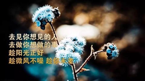 心情压抑出去散心的文案（压抑简短诗句）