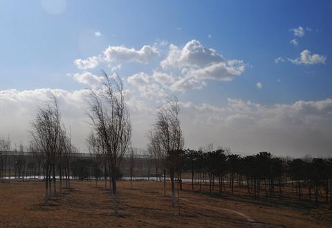 福建的冬天风景作文（美丽的校园冬天不写雪优秀）