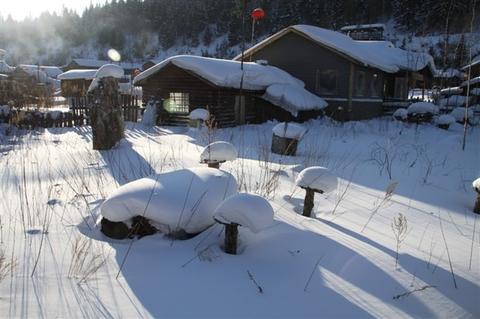 家乡的雪景中考作文（家乡的雪精选）