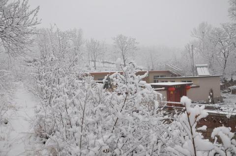 家乡的雪景中考作文（家乡的雪精选）