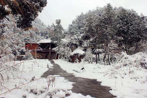 南方人第一次见到雪的作文（南方雪景精选）