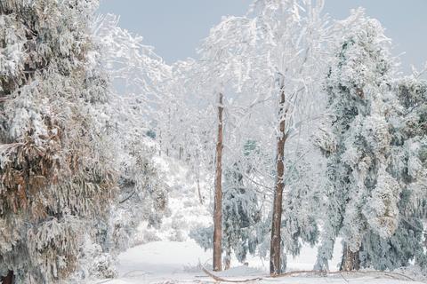 南方人第一次见到雪的作文（南方雪景精选）