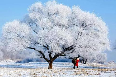 三年级冬天的雪景作文800字（冬日雪景满分）