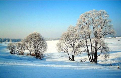 美丽的雪景优秀作文高中生（雪景四年级满分）