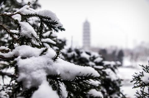 初雪作文700字（初雪的广场优秀）