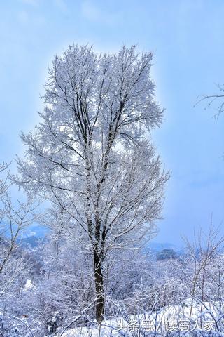 美丽的雪景优秀作文（美丽的雪花满分）