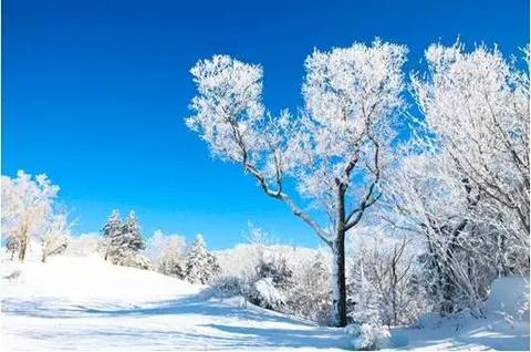 美丽的雪景优秀作文（美丽的雪花满分）