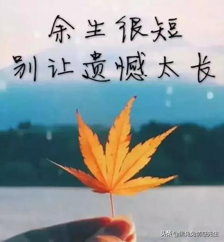 现实生活文案句子（扎心现实生活短句祝福语）