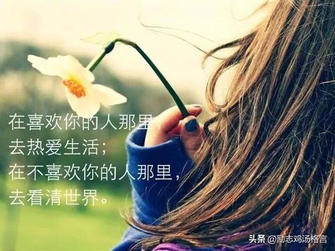 百度生活感悟的句子（生活语录问候语）