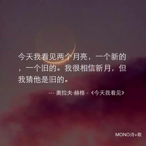 浪漫而不烂俗的高级文案（文艺高级唯美句子寄语）