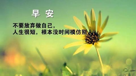 暖心积极向上文案（积极向上的唯美诗句）