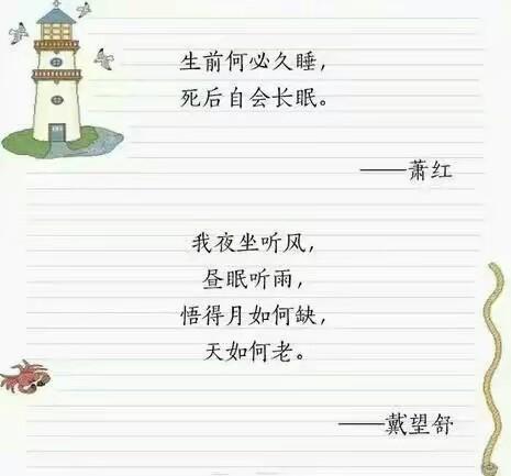 哲理的优美句子250字（200字人生哲理汇语句）