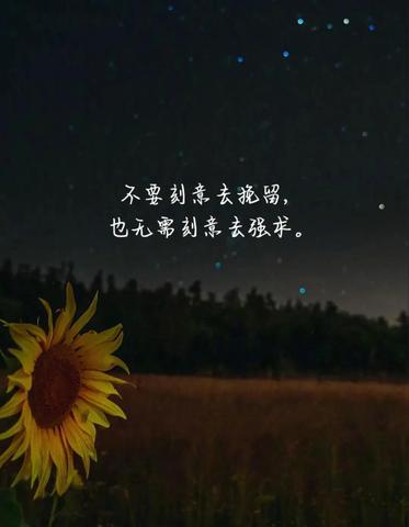 有内涵的深夜句子正能量（深夜的文案一句话佳句）