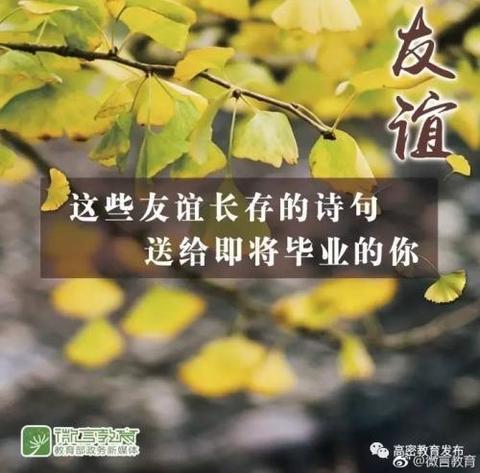 朋友之间的友谊说说（姐妹在一起嗨皮搞笑经典句子警句）